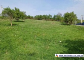 teren-intravilan-2300-mp-de-vanzare-in-berevoiesti-arges-1