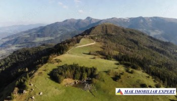 inch-concesvanz-teren-1-ha-in-valea-mare-pravat-arges-4