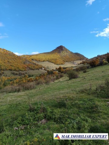 inch-concesvanz-teren-1-ha-in-valea-mare-pravat-arges-6