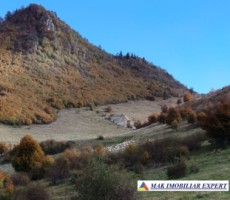 inch-concesvanz-teren-1-ha-in-valea-mare-pravat-arges-5