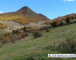 inch-concesvanz-teren-1-ha-in-valea-mare-pravat-arges-3