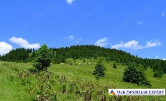 inch-concesvanz-teren-1-ha-in-valea-mare-pravat-arges-10