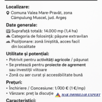 inch-concesvanz-teren-1-ha-in-valea-mare-pravat-arges-13