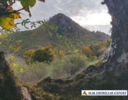 inch-concesvanz-teren-1-ha-in-valea-mare-pravat-arges-11