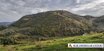 inch-concesvanz-teren-1-ha-in-valea-mare-pravat-arges-8