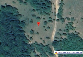 inch-concesvanz-teren-1-ha-in-valea-mare-pravat-arges-14