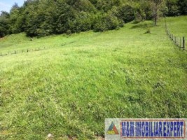 teren-2800-mp-intravilan-in-dambovicioara-ciocanu-arges