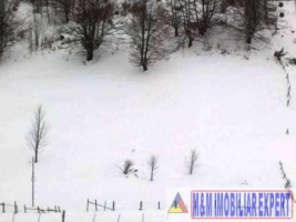 teren-2800-mp-intravilan-in-dambovicioara-ciocanu-arges-1