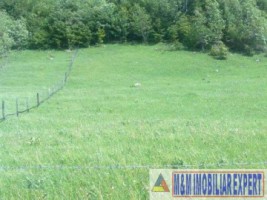 teren-2800-mp-intravilan-in-dambovicioara-ciocanu-arges-3
