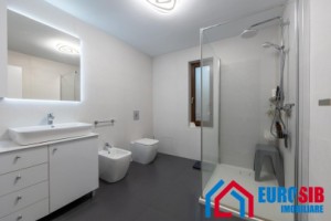 casa-individuala-pe-un-singur-nivel-sibiu-selimbar-brana-6