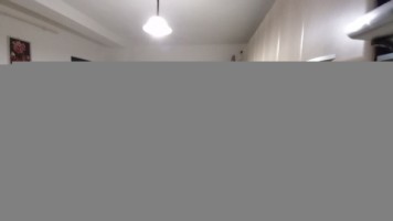 casa-individ-cetate-dealul-furcilor-326-mp-teren-curte-terasa-gradina-finisata-3