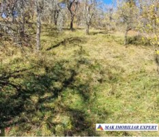 vand-teren-extravilan-17-ha-la-munte-in-nucsoara-arges-0