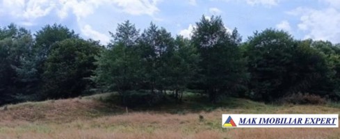 vand-teren-extravilan-17-ha-la-munte-in-nucsoara-arges-1