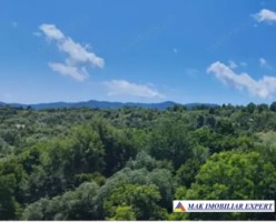 vand-teren-extravilan-17-ha-la-munte-in-nucsoara-arges-7