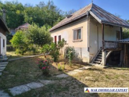 casa-4-camere-teren-2000-mp-in-pietrosani-domnesti-arges-2