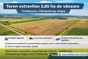 teren-285-ha-extravilan-pe-cretisoara-campulung-muscel-ag-1