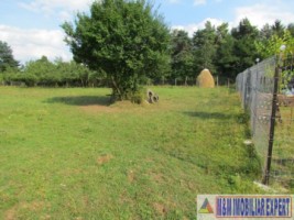 teren-4200-mp-intravilan-de-vanzare-campulung-muscel-arges-1