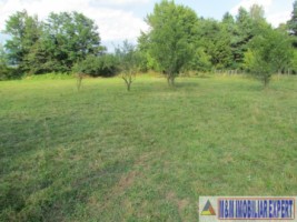 teren-4200-mp-intravilan-de-vanzare-campulung-muscel-arges-3