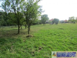 teren-4200-mp-intravilan-de-vanzare-campulung-muscel-arges-5