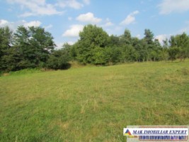 teren-4200-mp-intravilan-de-vanzare-campulung-muscel-arges-10