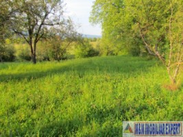teren-4200-mp-intravilan-de-vanzare-campulung-muscel-arges-12