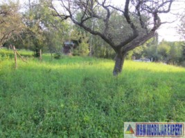 teren-4200-mp-intravilan-de-vanzare-campulung-muscel-arges-13