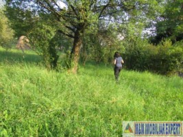 teren-4200-mp-intravilan-de-vanzare-campulung-muscel-arges-14