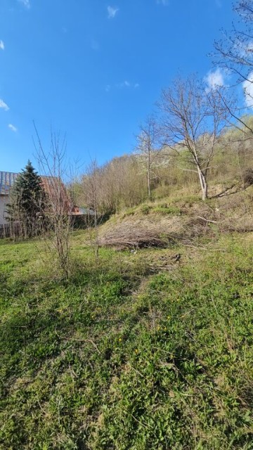 brebu-intravilan-1800-mp-deschidere-29-ml-doar-16900-17