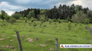 2-terenuri-3600-mp-3300-mp-in-bughea-de-sus-arges-4