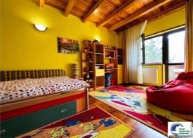 casa-de-vacanta-situata-in-bustenigolful-regal-1