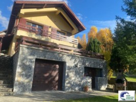 casa-de-vacanta-situata-in-bustenigolful-regal-12