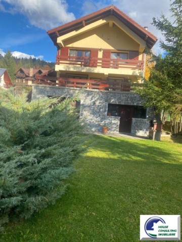 casa-de-vacanta-situata-in-bustenigolful-regal-13