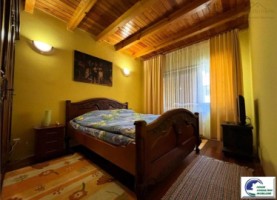 casa-de-vacanta-situata-in-bustenigolful-regal-16