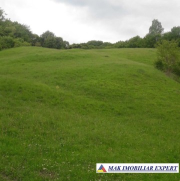 vand-teren-375-ha-extravilan-in-albestii-de-muscel-arges