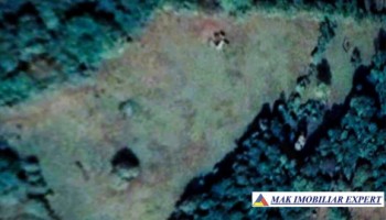 vand-teren-375-ha-extravilan-in-albestii-de-muscel-arges-1