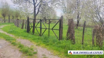 teren-intravilan-5000-mp-de-vanzare-in-aninoasa-arges