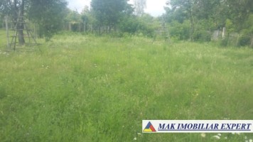 teren-intravilan-5000-mp-de-vanzare-in-aninoasa-arges-8