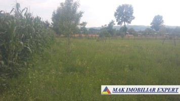 teren-intravilan-5000-mp-de-vanzare-in-aninoasa-arges-9