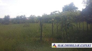 teren-intravilan-5000-mp-de-vanzare-in-aninoasa-arges-10