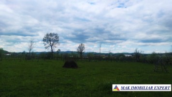 teren-intravilan-5000-mp-de-vanzare-in-aninoasa-arges-11
