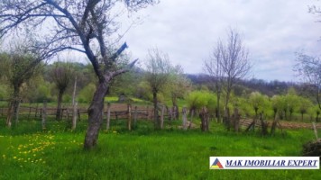 teren-intravilan-5000-mp-de-vanzare-in-aninoasa-arges-7