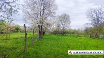 teren-intravilan-5000-mp-de-vanzare-in-aninoasa-arges-6