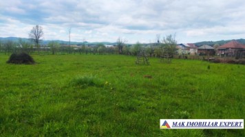 teren-intravilan-5000-mp-de-vanzare-in-aninoasa-arges-5
