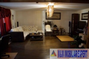 vila-pensiune-9-camere-teren-de-2400-mp-in-mihaesti-arges-1