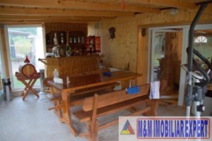vila-pensiune-9-camere-teren-de-2400-mp-in-mihaesti-arges-4