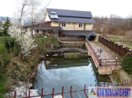 vila-pensiune-9-camere-teren-de-2400-mp-in-mihaesti-arges-15