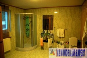 vila-pensiune-9-camere-teren-de-2400-mp-in-mihaesti-arges-6