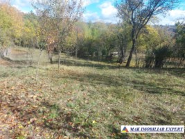 de-vanzare-2-terenuri-3500-mp-in-berevoesti-ungureni-arges-1