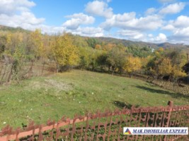 de-vanzare-2-terenuri-3500-mp-in-berevoesti-ungureni-arges-2