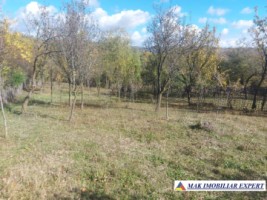 de-vanzare-2-terenuri-3500-mp-in-berevoesti-ungureni-arges-3